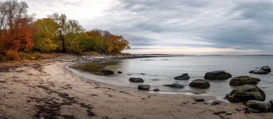 Canvas Print - Sandy beach landscape featuring rocks and low tide under an overcast sky with autumn foliage in vibrant colors.