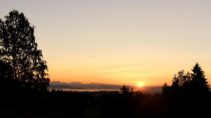 Wall Mural - Peaceful sunrise landscape with trees silhouetted in the foreground. Mountains visible in the distance, great background for inspirational content