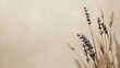 © Nurul - Dried lavender and wheat on beige background; minimalist design, website banner