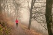 © Hunman - Young woman jogging on a forest trail during early morning, fog in the background.