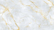 © Aquarium - White Marble with Golden Veins