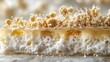 © TITISCAHYA - Cross-section Fungi growth on substrate