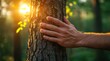 © btiger - Tree Trunk Touch Hand in Forest Nature Conservation Ecology Sustainability Connection Relaxation Peace