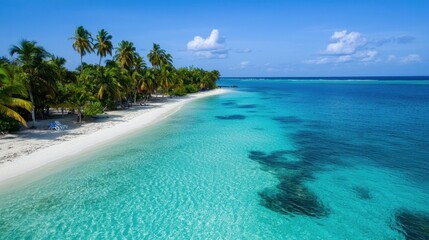 Wall Mural - A beautiful blue ocean with palm trees in the background