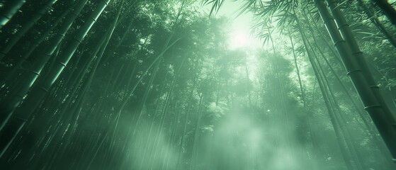 Wall Mural - Forest spirits of an ancient legend hide in dense _002