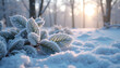 © Yosich1961 - Frozen leaves coated in morning frost with serene sunlight filtering through trees