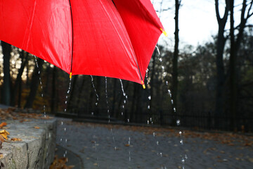 Wall Mural - Open red umbrella under pouring rain outdoors, closeup. Space for text