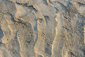 Wall Mural - Textured surface showing patterns created by dry sand and sunlight