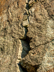 Wall Mural - Felswände eines alten Steinbruchs im Wald
