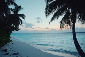 Wall Mural - Palm trees swaying on Maldives beach at sunset with turquoise water