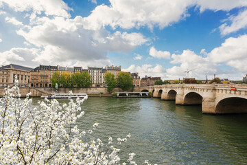 Wall Mural - pont neuf, paris, france