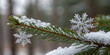 © Venuea Images - A close-up of delicate snowflakes resting on a pine branch, with a blurred snowy background