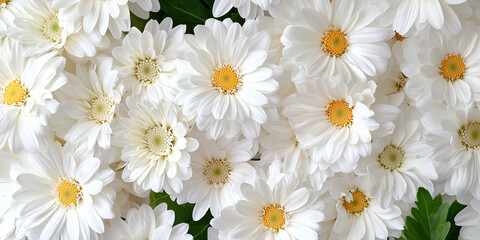 Poster - Closeup Of White Chrysanthemum Bouquet With Green Leaves