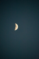 moon in the sky at the fading of the light