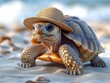 © Seehar_Umar - Tortoise in a sun hat, plodding along a sandy shore, ancient, wise, leisurely