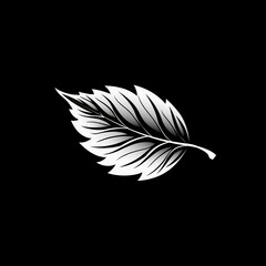 Wall Mural - feather isolated on black background