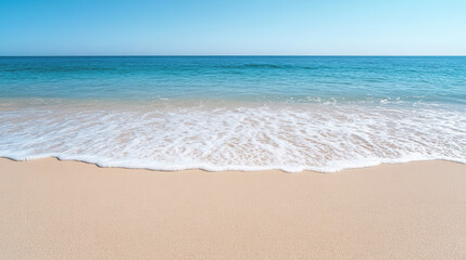 Wall Mural - high angle view of pristine beach with gentle waves and clear skies