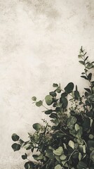 Wall Mural - Green Eucalyptus Leaves on Neutral Textured Background for Design