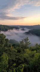 Wall Mural - Rolling fog over forested hills at sunrise, misty morning over hills. Vertical