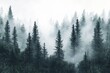 © afterfast - Misty forest landscape with tall evergreen trees.