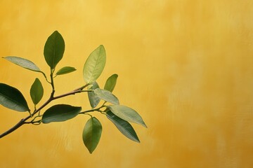 Wall Mural - Green leaves on a branch contrast with a yellow background