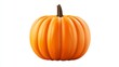 © nitikarn - Vibrant Orange Pumpkin with Ribbed Texture and Dark Stem Against White Background