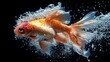 © Ahmad M. - Aquatic Ballet, An orange Goldfish Amidst a flurry of Rising Bubbles Against a Deep Black Backdrop