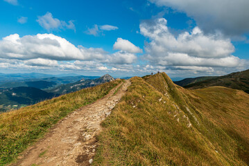 Wall Mural - Late summer on Pekelnik hill in Mala Fatra mountains in Slovakia