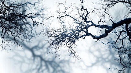 Aufkleber - Varying shades of tree shadows creating a complex network in nature atmospheric environment artistic perspective