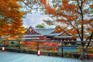 Wall Mural - Kitano Tenmangu Shrine with beautiful vivid autumn colorful foliage in Kyoto, Japan