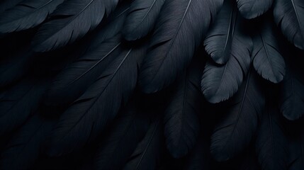 Aufkleber - Dark and Mysterious Avian Plume Arrangement A Textured Background Image