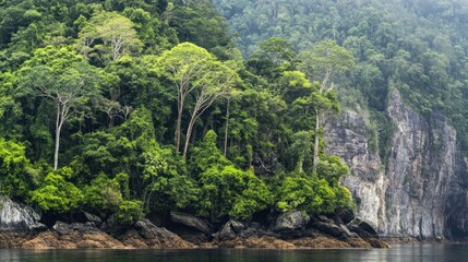 Canvas Print - Lush Tropical Rainforest Coastline: A Serene Escape