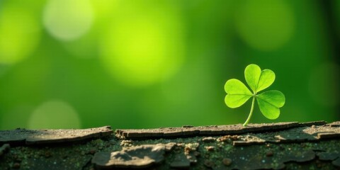Aufkleber - A single vibrant green clover sprout emerges from weathered bark, bathed in soft sunlight against a bokeh background of verdant foliage.