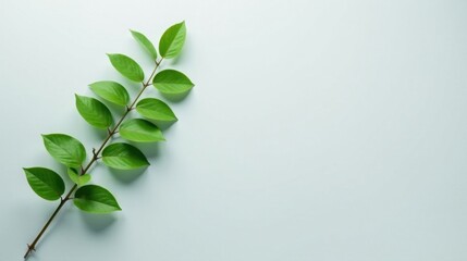 Aufkleber - A single sprig of vibrant green leaves arranged elegantly against a serene light-blue backdrop, ideal for minimalist designs and nature-inspired projects.