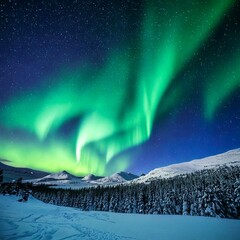 aurora borealis over a snowy landscape