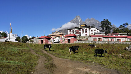 Wall Mural - Buddhist monastery in the Himalayas in Nepal	
