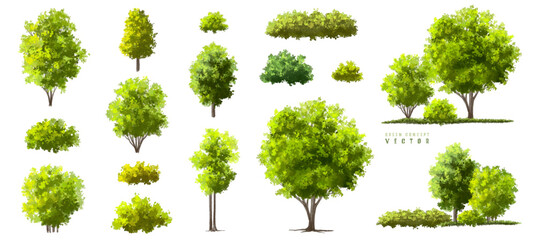 Wall Mural - vector watercolor green tree or forest side view isolated on white background for landscape and arch