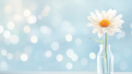 Canvas Print - single daisy in clear glass vase against soft blue bokeh background creates serene and uplifting atmosphere. delicate petals and vibrant center evoke feelings of freshness and tranquility