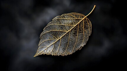 Aufkleber - Intricate golden leaf design nature close-up art photography dark background detailed view elegant concept