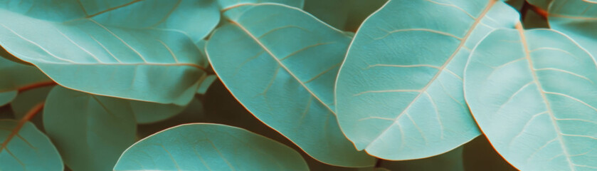 Fototapete - Blurred close-up of intricate leaves showcasing soft green and brown tones in natural light