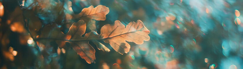 Fototapete - Blurred close-up of intricate leaf veins showcasing soft green and brown tones in natural backdrop