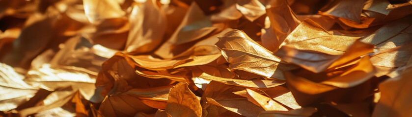 Fototapete - Texture of dry leaves with rich layers and shadows in a bright background