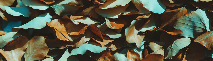 Fototapete - Texture of dry leaves creating an intriguing layered background with soft shadows