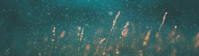 Fototapete - Halftone texture of dew-covered grass blades glistening in morning light