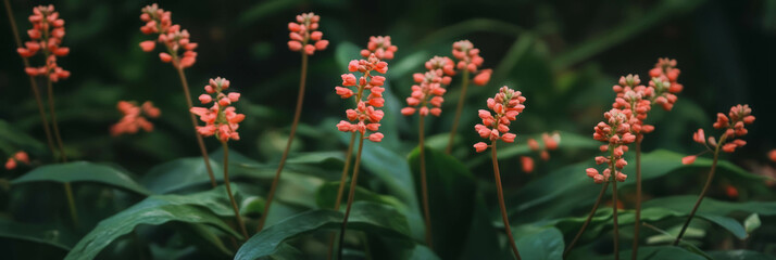Fototapete - Gentle red florets thrive in a lush green setting during early morning light