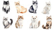 © Nacci - Watercolor Illustration of Various Cat Breeds