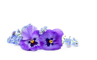 Wall Mural - Flowers viola tricolor ( pansy ) and blue wildflowers forget-me-nots on a white background with space for text. Top view, flat lay