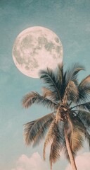 Wall Mural - Tropical beach palm tree full moon night sky