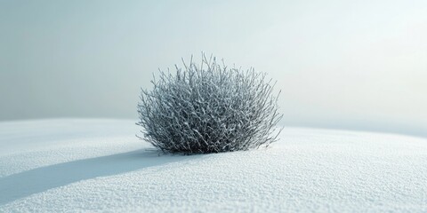 Wall Mural - Snowy Hill Bush