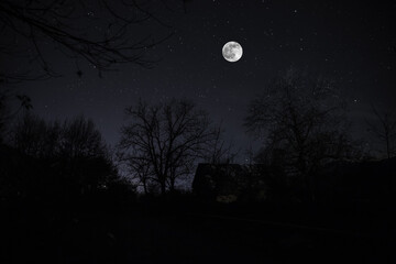 Wall Mural - old house with a ghost in the forest at misty night or night scene with house under moon. old mystic